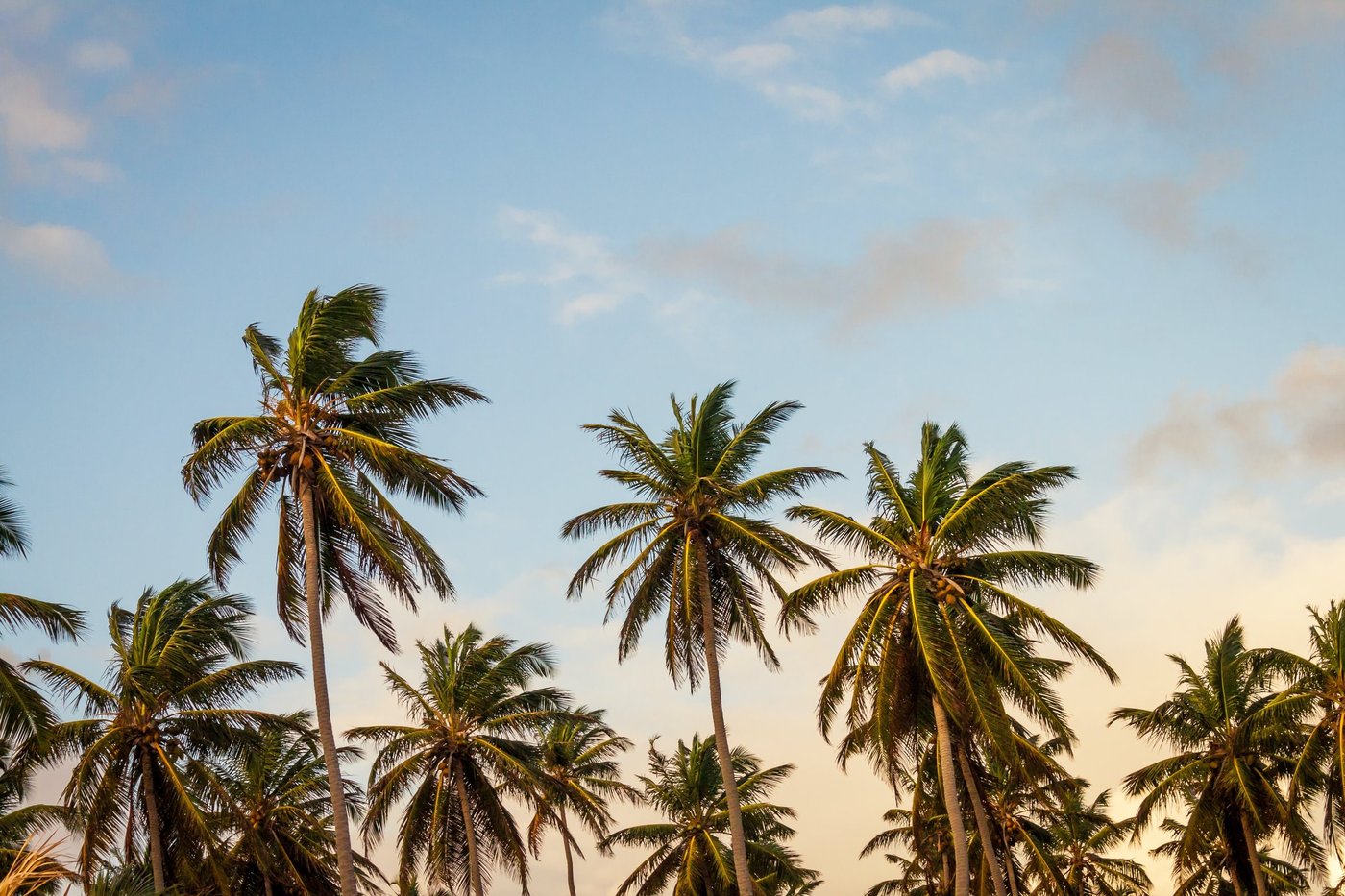 Pasadena, Los Angeles